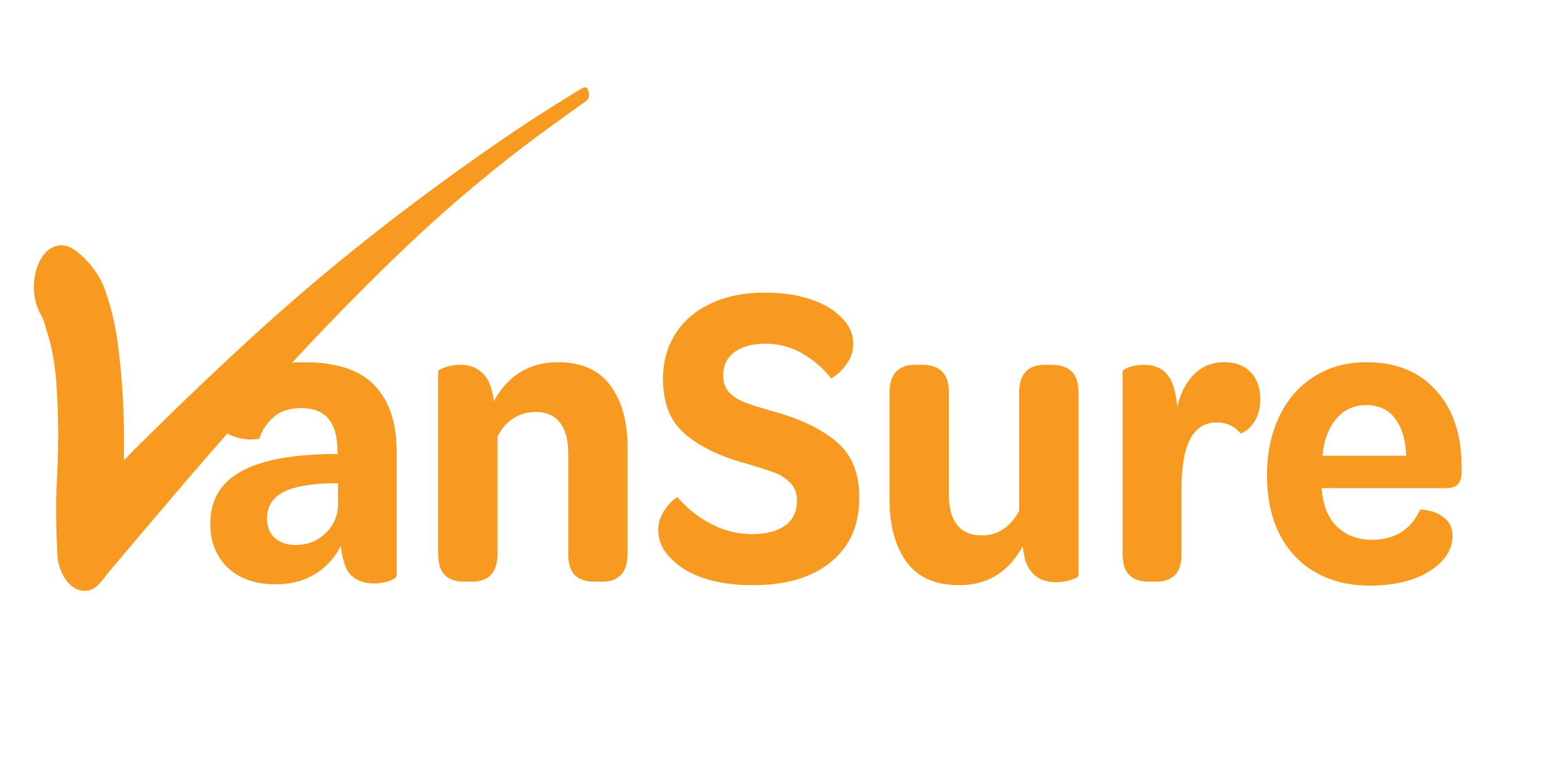 Digital VanSure website logo